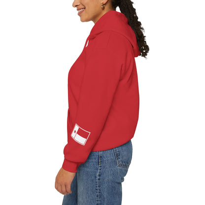 Frontier Hoodie | Cozy